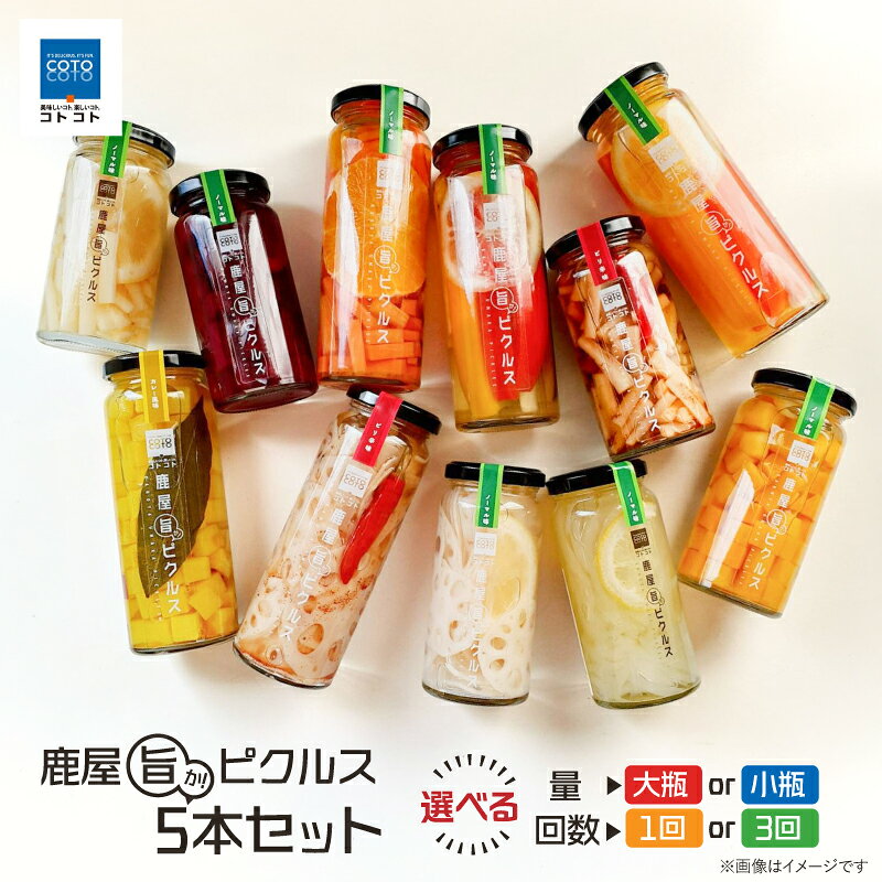 【ふるさと納税】＜選べる容量・回数＞ 鹿屋旨か！ピクルス 5本セット 小瓶 or 大瓶 全3回 定期便 ピクルス 野菜 漬物 瓶 ビーツ 紅はるか ごぼう レンコン にんじん トマト パプリカ 酢 おつまみ サラダ 定期 COTOCOTO 鹿児島 鹿屋市 おすすめ ランキング プレゼント ギフト