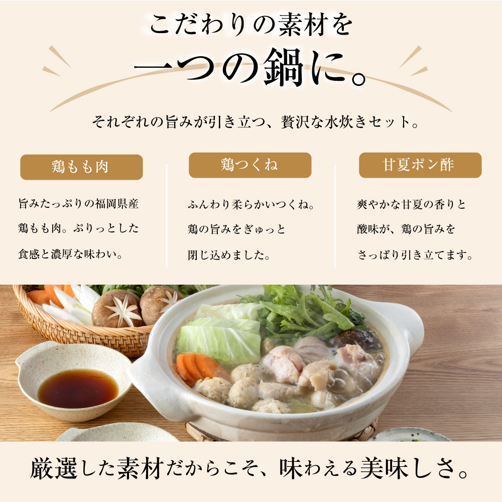 水炊きセット2人前【海千】（鶏肉 鶏つくね 丸鶏スープ 甘夏ぽん酢）[H0182]
