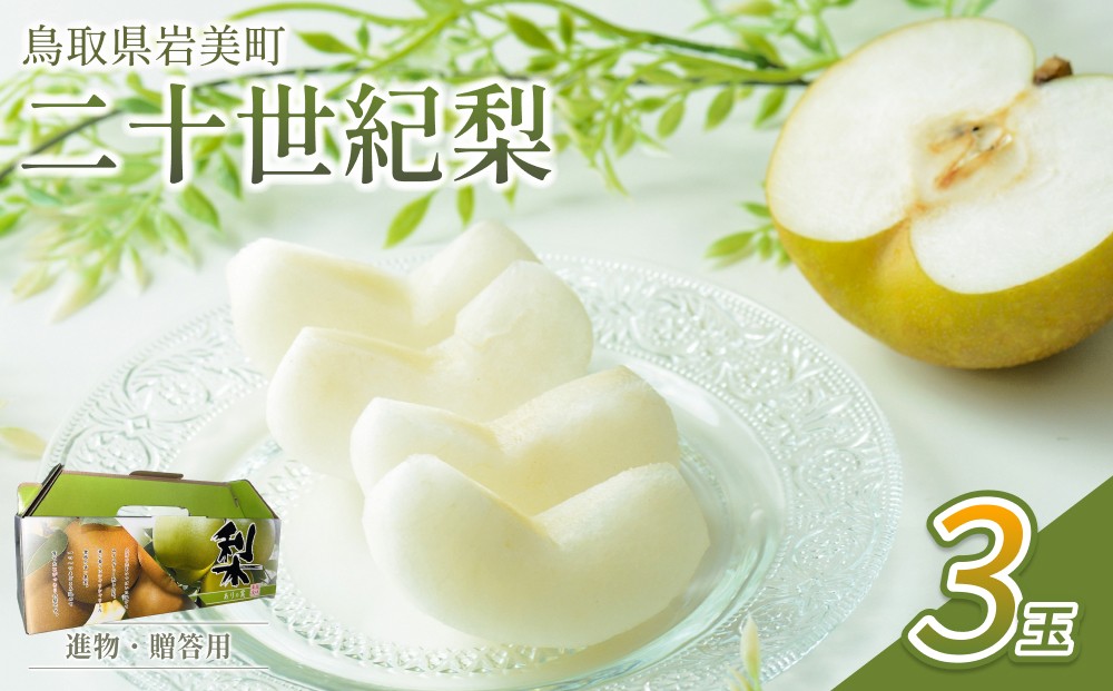
                  【先行予約】中野農園 梨 ”二十世紀梨” 3玉入り｜鳥取 岩美 梨 なし ナシ 20世紀梨 青梨 果物 フルーツ 常温 ※お届けは2026年8月下旬頃～【41024】
                