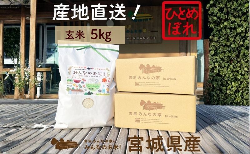 玄米 ひとめぼれ 5kg 岩沼みんなの家 みんなのお米! 米 お米 単一原料米 ブランド米 東北 震災 支援 こめ コメ おこめ ご飯 ごはん 5キロ 産地直送 送料無料 宮城県産 宮城 宮城県 岩沼市