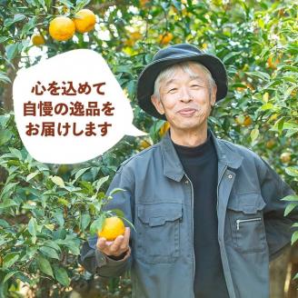 isa417 ＜期間限定＞ダブル半ダース(ゆずしぼり×6本・ゆず小姓×6個) ふるさと納税 伊佐市 特産品 柚子 果汁 調味料 柚子胡椒 【ゆず香房】
