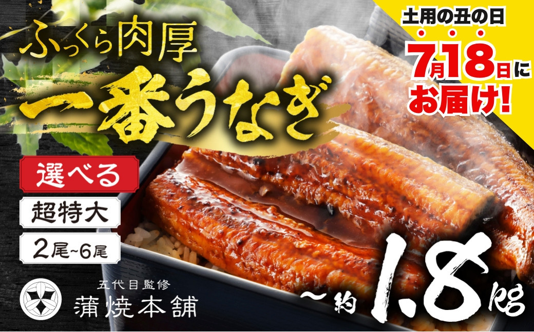 
            ≪土用の丑の日対応≫1尾で2.5人前！国産うなぎ蒲焼 超特大 2尾~6尾 タレ付《選べる》2尾 4尾 6尾
          