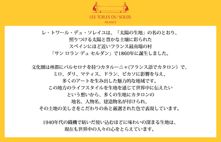 （今治タオルブランド認定品） [おしゃれ] 上質今治タオル ハンカチギフト 3枚セット ギフト専用オリジナル個包装付き [I003190HT3-1] 