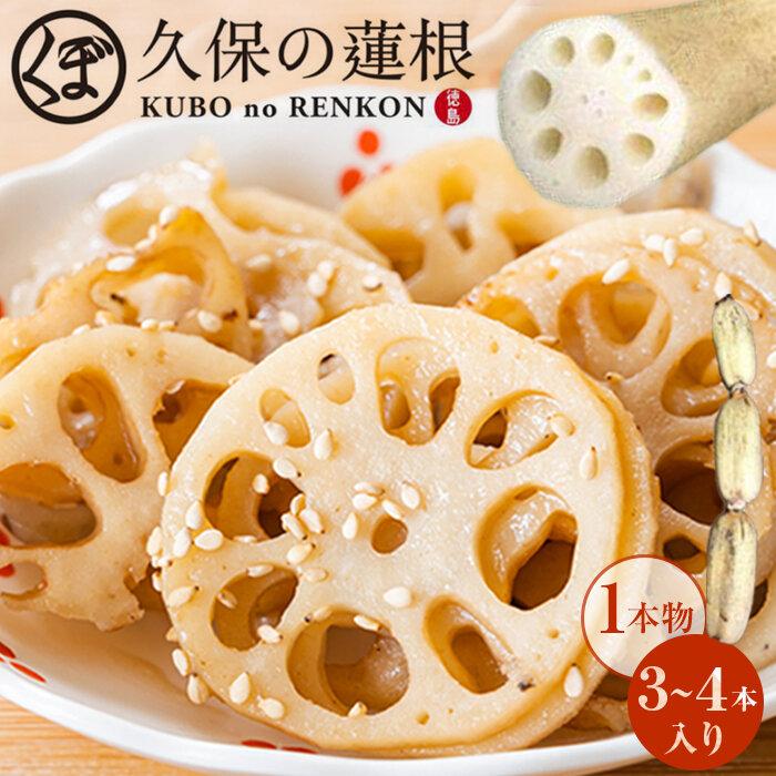 【ふるさと納税】蓮根 1本物 3～4本入り れんこん | 野菜 やさい レンコン れんこん 蓮根 根菜 産地直送 人気 おすすめ 徳島 送料無料