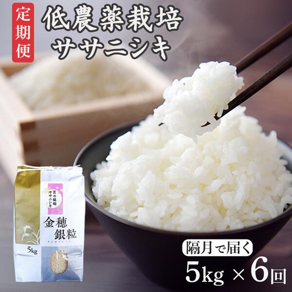 【ふるさと納税】《 新米先行予約 》隔月 定期便 6回 令和7年産 新米 低農薬栽培 ササニシキ 5kg 精米 お米 ふるさと納税 ご飯 ごはん お弁当 おにぎり 東北 国産 送料無料米 岩手県 一関市