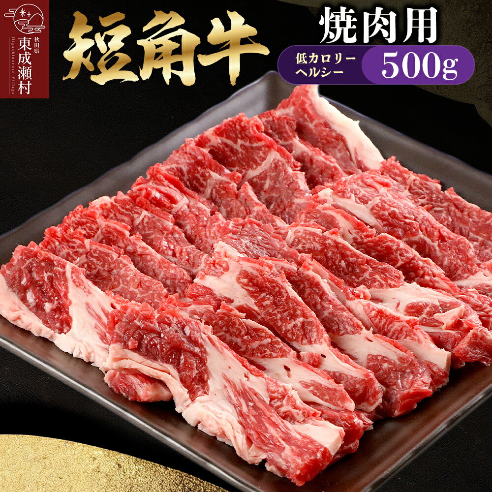 【ふるさと納税】【楽天限定受付】短角牛 焼肉用（500g）