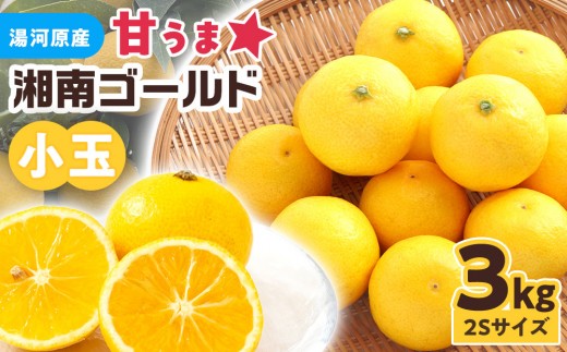 
                  【希少フルーツ】甘ウマ☆小玉・湘南ゴールド(2Sサイズ)　3kg　2027年2月下旬～3月中旬頃発送予定 | 湯河原町 小玉 2Sサイズ 3kg 種なし 柑橘類 地域特産品
                