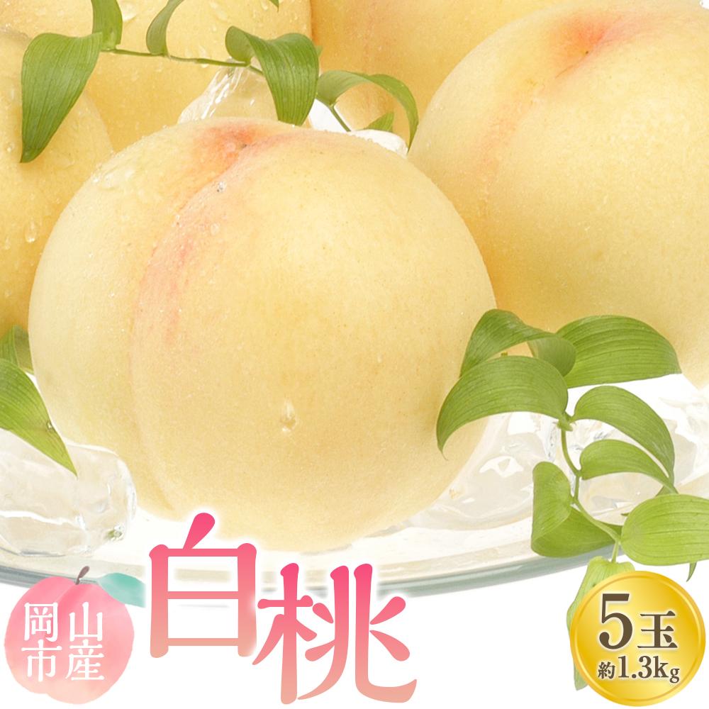 【ふるさと納税】桃 2026年 白桃 5玉 合計約1.3kg もも モモ 岡山市産 国産 フルーツ 果物 ギフト | もも フルーツ 果物 くだもの 食品 人気 おすすめ 送料無料