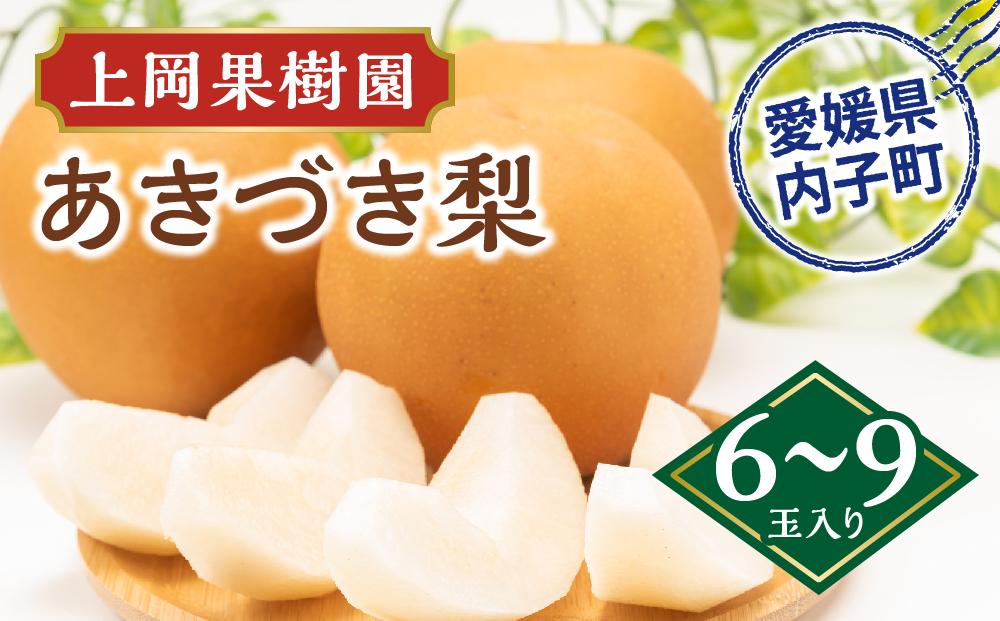【価格変更・要確認】上岡果樹園のあきづき梨（2）【6～9玉入り】