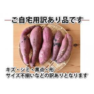 訳あり紅はるか 約10kg(益城町)【1586572】