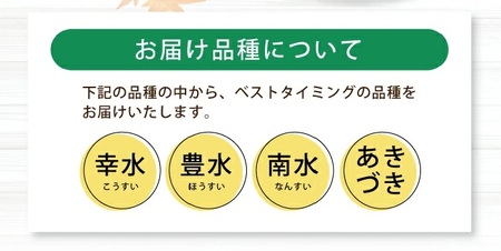 SA2935　和梨 「刈屋梨」　約5kg(12～16玉入)　品種おまかせ(幸水、豊水、南水、あきづき)