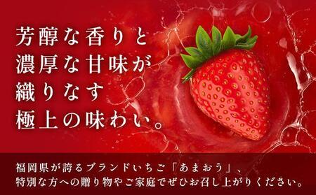 【3月発送】福岡県産あまおう約250g×4パック