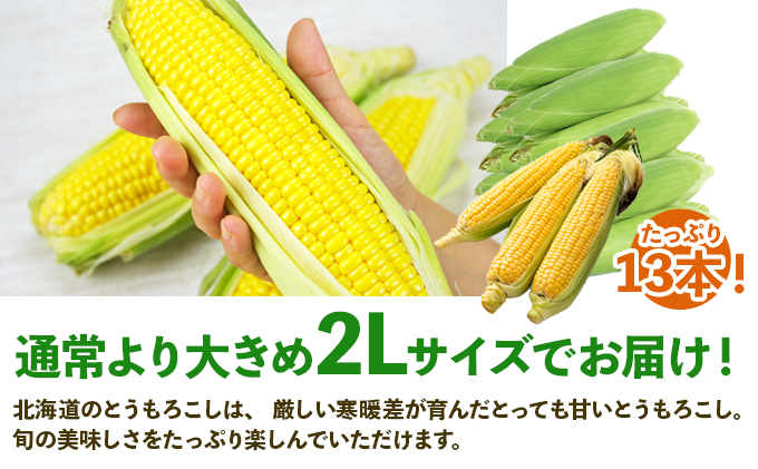 北海道 倶知安町 とうもろこし 味来 みらい 北海道 5kg 2Lサ