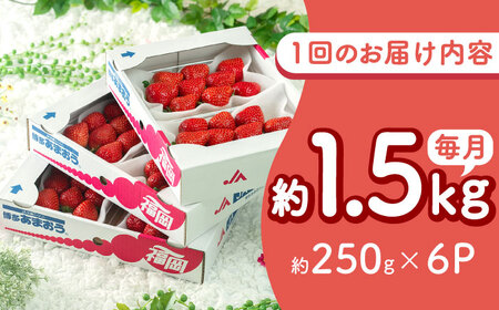 【全2回定期便】福岡産【春】 あまおう 6パック 吉富町/南国フルーツ株式会社[BGAG052]