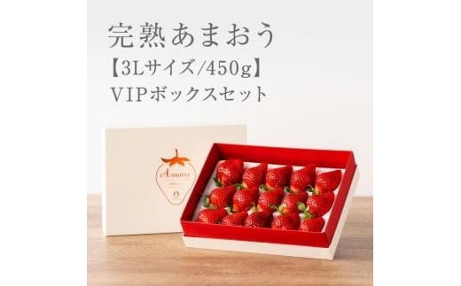 
【2025年1月～4月納品分予約販売】武下さんちの「完熟あまおう」 3Lサイズ 450g 白いVIPボックスに入れて！【あまおう 完熟 いちご 苺 イチゴ くだもの 果物 フルーツ 大粒 450g ご当地 ブランド ギフト 人気 おすすめ 送料無料 福岡県 大川市 AA068】
