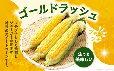 先行予約≪期間限定≫みやざきフレッシュスイートコーン(約4.5kg) とうもろこし 野菜 旬 おやつ 国産_T015-0045
