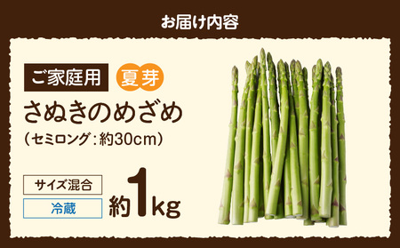 【先行受付】ご家庭用アスパラガス「さぬきのめざめ」(セミロング)夏芽 サイズ混合 約1kg | 野菜 アスパラ アスパラガス さぬきのめざめ 家庭用 夏 冷蔵 新鮮 香川県 三木町 セミロング おすす