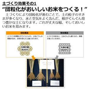 【白米】 1回のみ配送 5kg 令和5年産 ひとめぼれ 土作り実証米 秋田県産