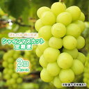 【ふるさと納税】ぶどう 2024年 先行予約 晴れの国 岡山県産 シャインマスカット定期便 2回コース-A フルーツ 果物 岡山　定期便・ 果物 ぶどう フルーツ デザート 食後 おやつ 皮ごと 種無し 歯ごたえ 新鮮 採れたて 産地直送 　お届け：2024年10月上旬～2024年12月12日