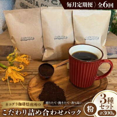 【ふるさと納税】【毎月定期便】《粉3種計300g》ネコグラ珈琲焙煎所の煎りたて挽きたてコーヒーセット全6回【4064366】