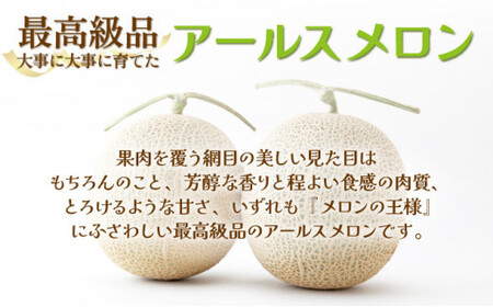 TNM2L ＜先行予約・数量限定＞ 串間産アールスメロン２Ｌ２玉（計３kg以上）【谷口農園】
