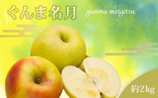 
            【2025年11月発送分先行受付】山形のりんご（ぐんま名月）約2kg_H217(R7)
          