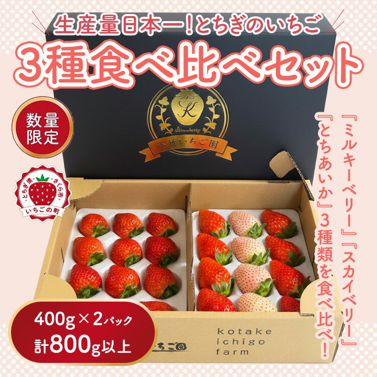 【ふるさと納税】《数量限定》満足3種食べ比べセット（ミルキーベリー、スカイベリー、とちあいか）400g×2パック 800g｜いちご イチゴ 苺 先行予約 栃木県 果物 くだもの フルーツ 新鮮 贈答 ギフト 高級 食べ比べ ※2026年2月上旬～4月中旬頃に順次発送予定