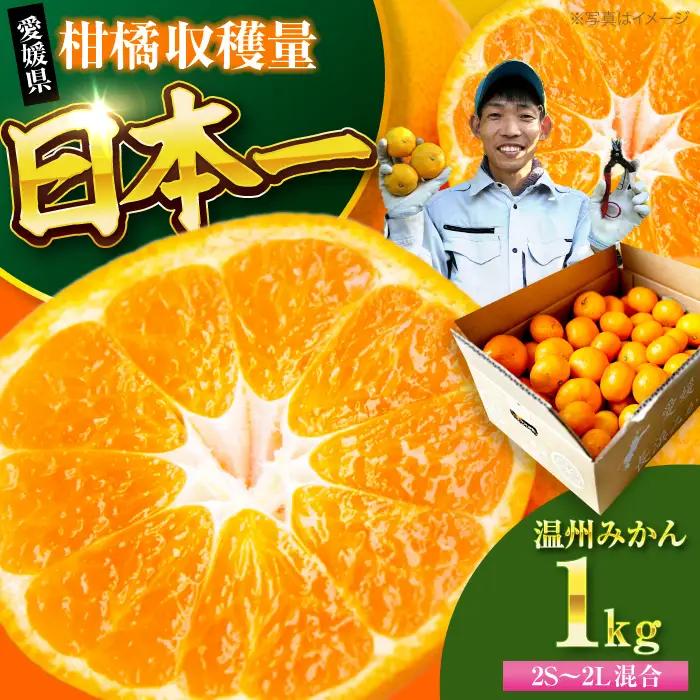 みかん【10月中旬から順次発送】温州みかん 1kg （2Sから2L混合サイズ）酸味さわやか愛媛じるし！ 温州みかん 愛媛 みかん 果物 くだもの フルーツ 柑橘 愛媛県大洲市/玉川農園[AGBC019]