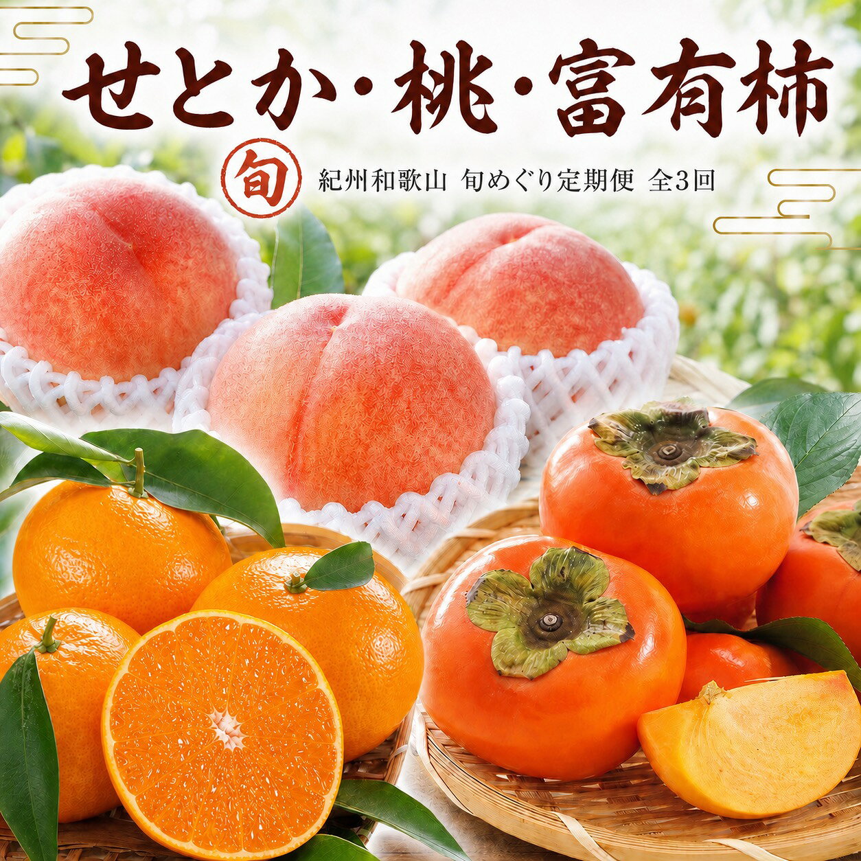 【ふるさと納税】 【全3回】 紀州和歌山産旬のフルーツセット (せとか・桃・富有柿) / 定期便 フルーツ フルーツ定期便 おすすめ 和歌山 果物 くだもの セトカ せとか もも モモ 桃 柿 カキ 富有柿
