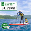 【ふるさと納税】SUP（パドルボート）　体験教室　1名　【体験チケット】