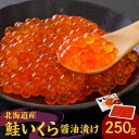 【ふるさと納税】北海道の味 旨味 新鮮 逸品 いくら 醤油漬け 250g 秋鮭 イクラ さけ サケ 魚卵 魚介 海鮮 いくら丼 手巻き寿司 ちらし寿司 お寿司 軍艦 和風パスタ サラダ ごはんのお供 単品おせち 冷凍 贈り物 ギフト プレゼント お取り寄せ 北海道 余市町 送料無料