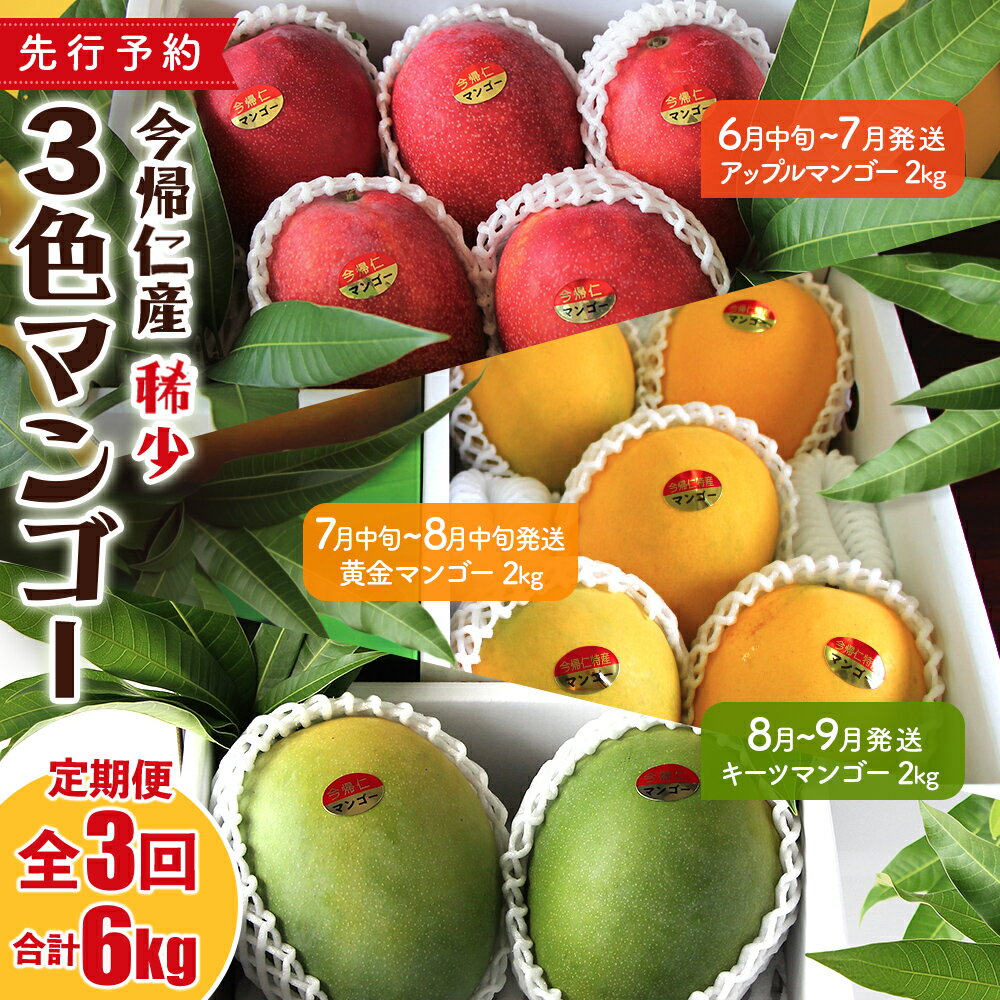 【ふるさと納税】【定期便】稀少3色マンゴー（赤・黄・緑）【2026年　赤：6月中旬~7月頃　黄：7月中旬～8月中旬頃　緑：8月～9月頃発送】生産者直送　先行予約