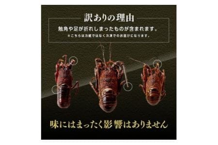 【訳あり】冷凍伊勢海老2kg（3～10尾） 【 伊勢海老 イセエビ 訳あり 魚介 】