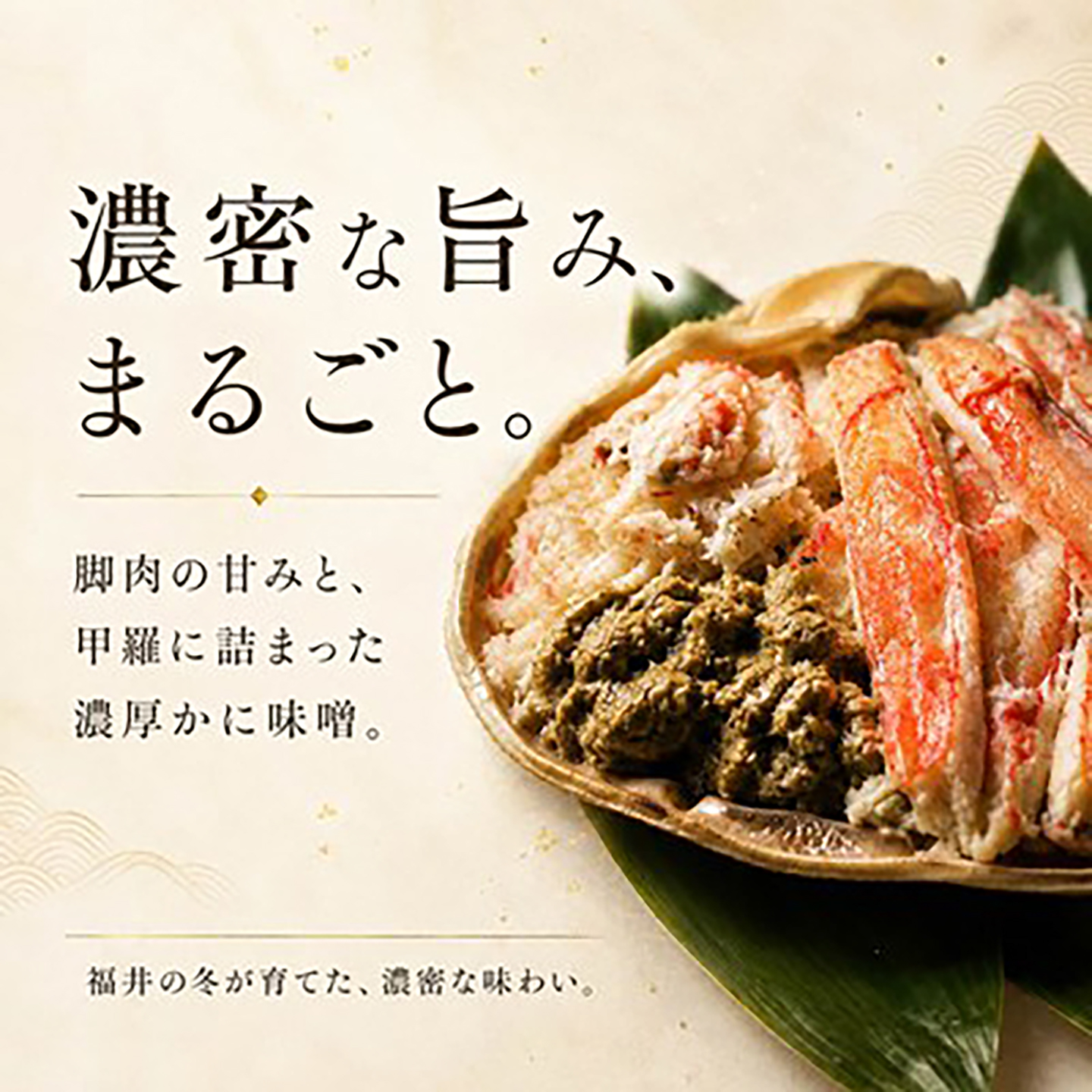 【先行予約/11月18日より順次配送】【訳あり】越前がに 900g×2杯 茹で 福井県産ズワイガニ 脚折れ・欠け / かに カニ 蟹 越前ガニ ズワイガニ ボイル / 小浜市 / 一進わかさ【配送不可