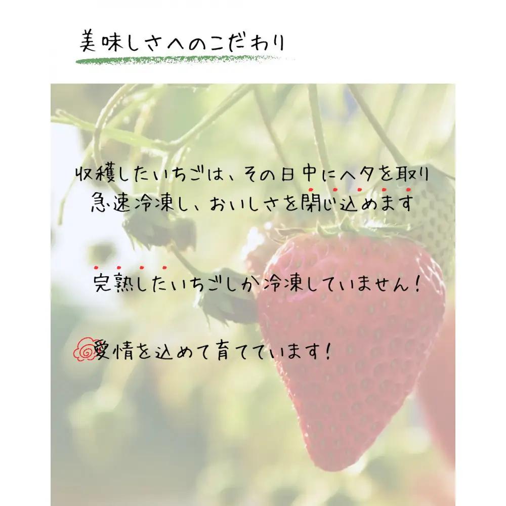 【訳アリ 冷凍いちご】静岡県産の完熟紅ほっぺを使用した冷凍いちご1kg【静岡県産】