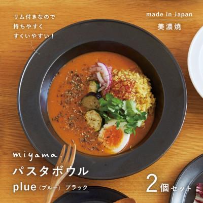 ふるさと納税 瑞浪市 【美濃焼】miyama.のパスタボウル(プルー)2個セット　ブラック