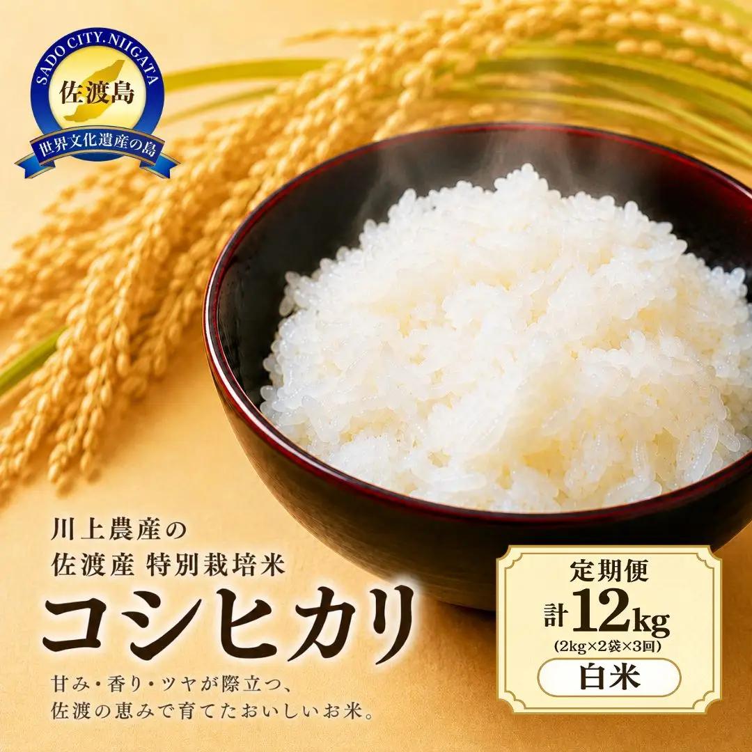 コシヒカリ 定期便 2kg 全6回 白米 川上農産 | 新潟県 佐渡市 コシヒカリ