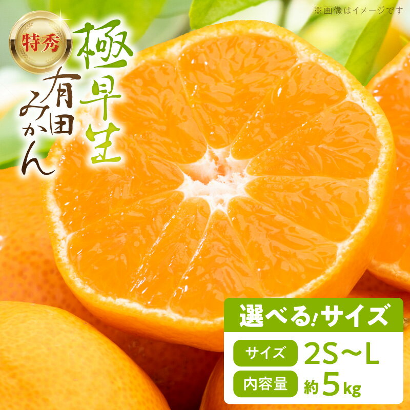 【ふるさと納税】極早生 有田みかん 特秀 5kg 選べる サイズ Sまたは2S MまたはL みかん 酸味 甘み 柑橘 温州みかん 果物 フルーツ 和歌山県産 柑橘専業農家 南泰園 手選別 マルチ栽培 和歌山県 湯浅町 お取り寄せ 送料無料