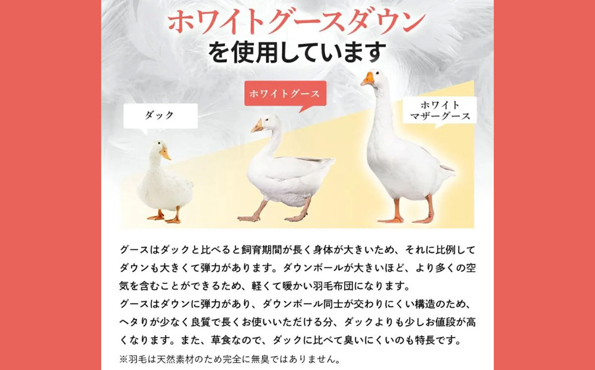 昭和西川 CMD 羽毛掛け布団 ベージュ ダブルロング ドイツ産グース90％ 380ダウンパワー【昭和西川 選べる ベージュ ダブル ロング グース 羽毛掛けふとん 羽毛ふとん 羽毛布団 掛け布団 C