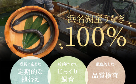 【浜名湖産】朝じめ うなぎ 溶岩焼き 蒲焼き 3尾（約140g×3尾）