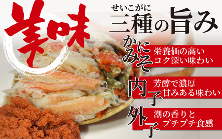 【先行予約】せいこがに 約150g以上×5杯【11月～12月発送】 日本海 直送