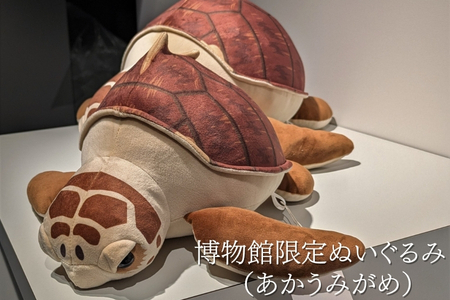 プレオープン記念　限定チケット（大人１８歳以上）ぬいぐるみ券＋バッジセット２名分