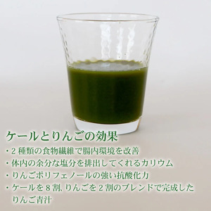【3回定期便】【冷凍生】りんご青汁4箱11.2kg(100g×112袋) 国産 ケール
