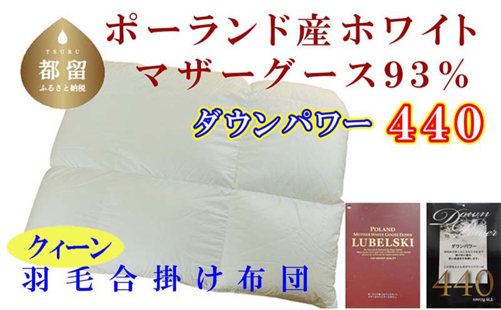 
                  【合掛け布団】ポーランド産マザーグース93％ 羽毛合掛け布団（クイーン：220cm×210cm）（ダウンパワー440） CK386
                