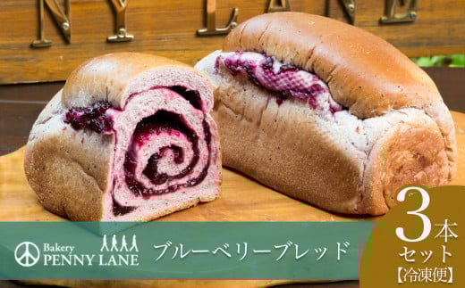 ペニーレインのブルーベリーブレッド3本セット【 パン 菓子パン パン屋 茨城県 つくば市 ブルーベリー ブルーベリージャム ブルーベリーソース  冷凍パン お取り寄せ おやつ 朝食 ベーカリー グルメ プレゼント 冷凍便 】