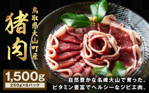 
GB-03 猪肉 1.5kg（250g×6パック）　
