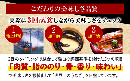うなぎ 国産 蒲焼 3尾 うなぎ[480g以上]