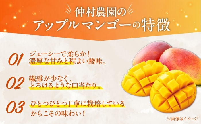 【贈答用】仲村農園の完熟アップルマンゴー2kg マンゴー 沖縄 果物 フルーツ ギフト 沖縄市 / 仲村農園