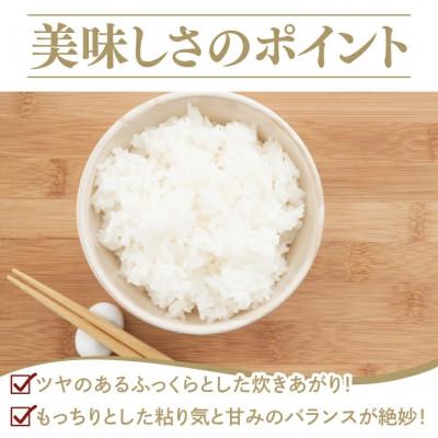 ふるさと納税 大子町 【毎月定期便】立神米「にじのきらめき」5kg|茨城県 大子町 大子産米 全6回 |  | 02