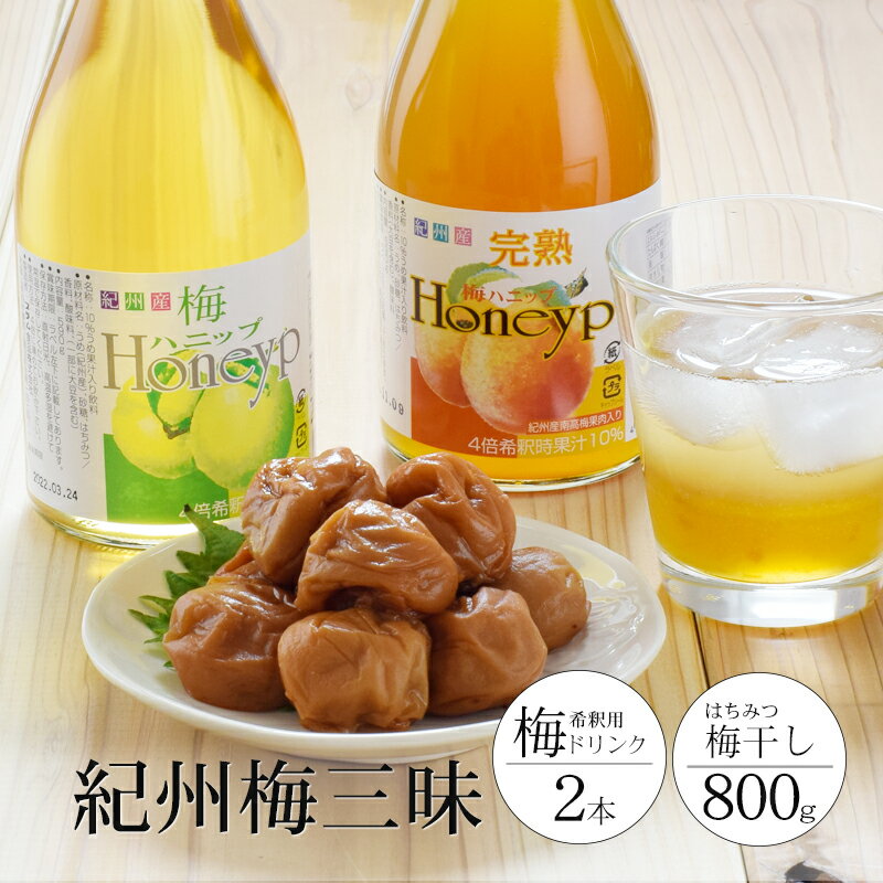 【ふるさと納税】希釈用梅ドリンクとはちみつ梅干のセット【2025年11月末より順次発送】